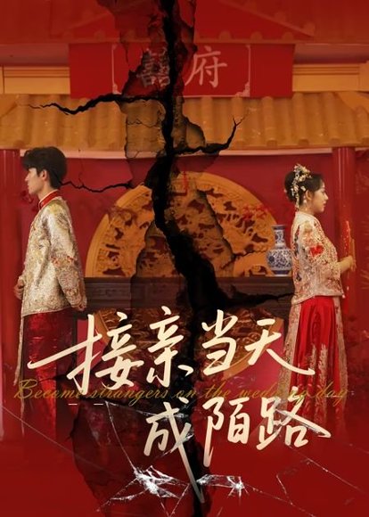 接亲当天成陌路（50集） 高清完整版