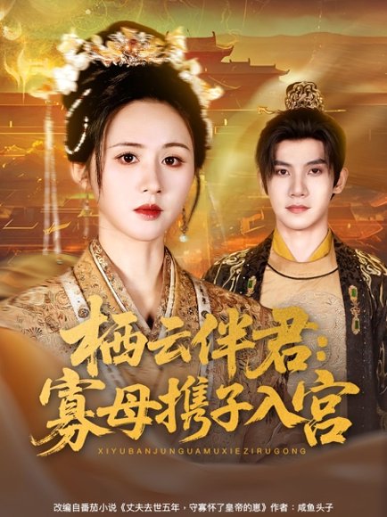 栖云伴君寡母携子入宫（89集）吴宇航＆书雪漫 高清完整版