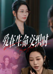 爱在生命交织时（33集）阎纪圻&刘清心 高清完整版