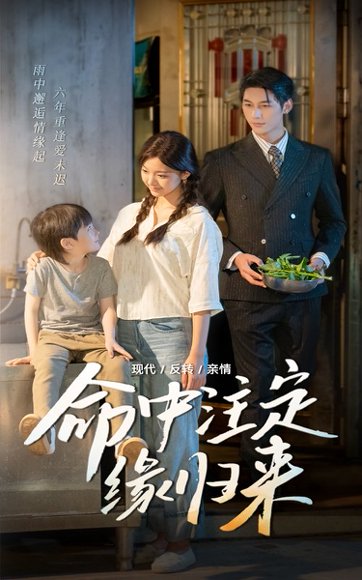 命中注定缘归来（63集）戚羽佳&马千欢 高清完整版