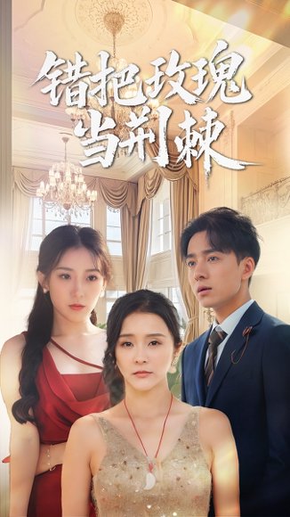 错把玫瑰当荆棘（40集）金大钟&王蕾 高清完整版