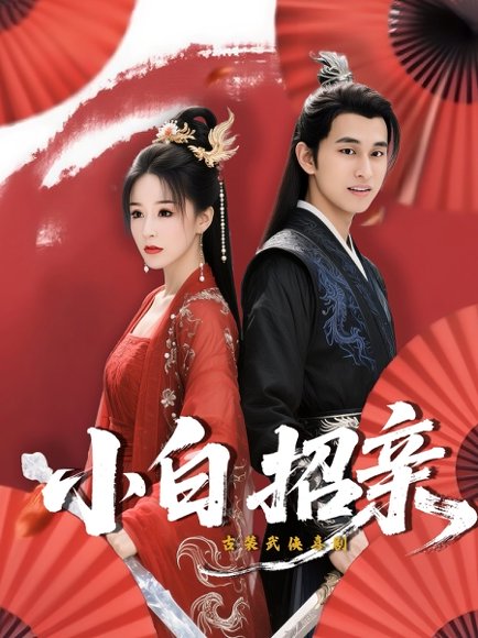 小白招亲（78集）菲儿 高清完整版